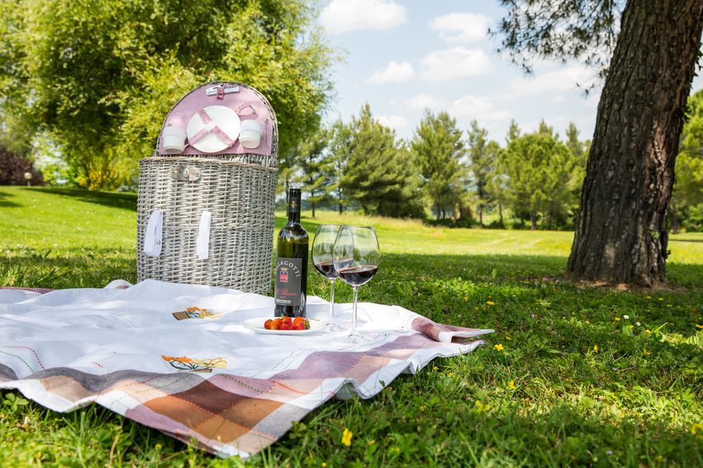 Agriturismo Colleverde Selvatelle Εξωτερικό φωτογραφία