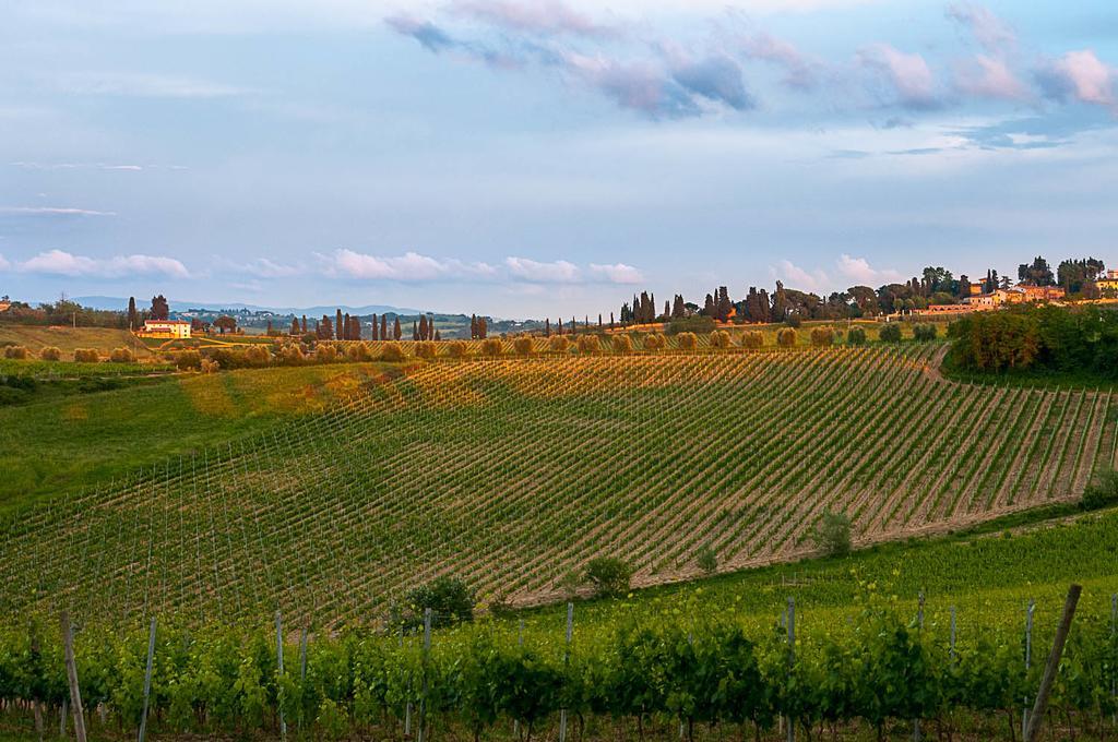 Agriturismo Colleverde Selvatelle Εξωτερικό φωτογραφία
