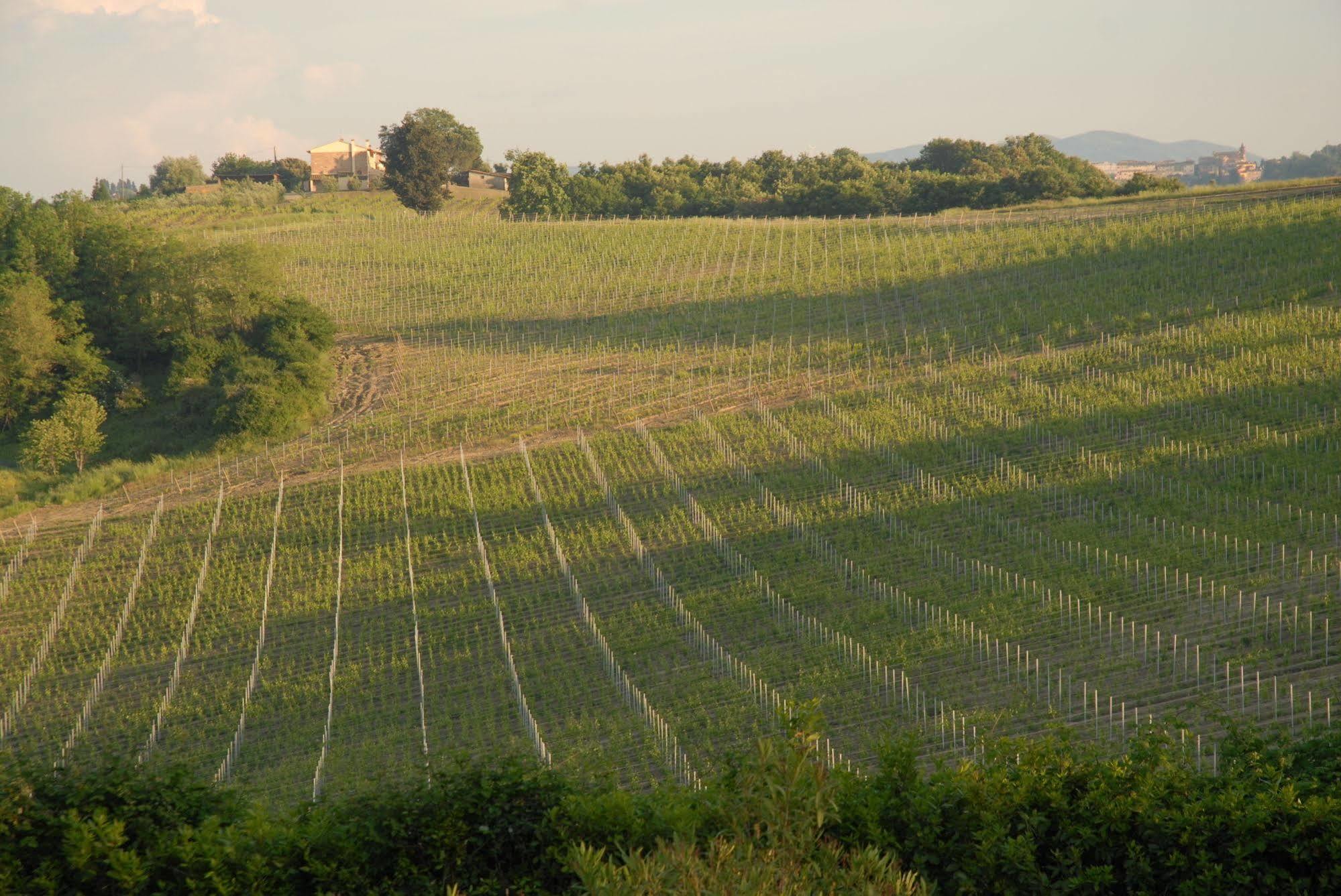 Agriturismo Colleverde Selvatelle Εξωτερικό φωτογραφία
